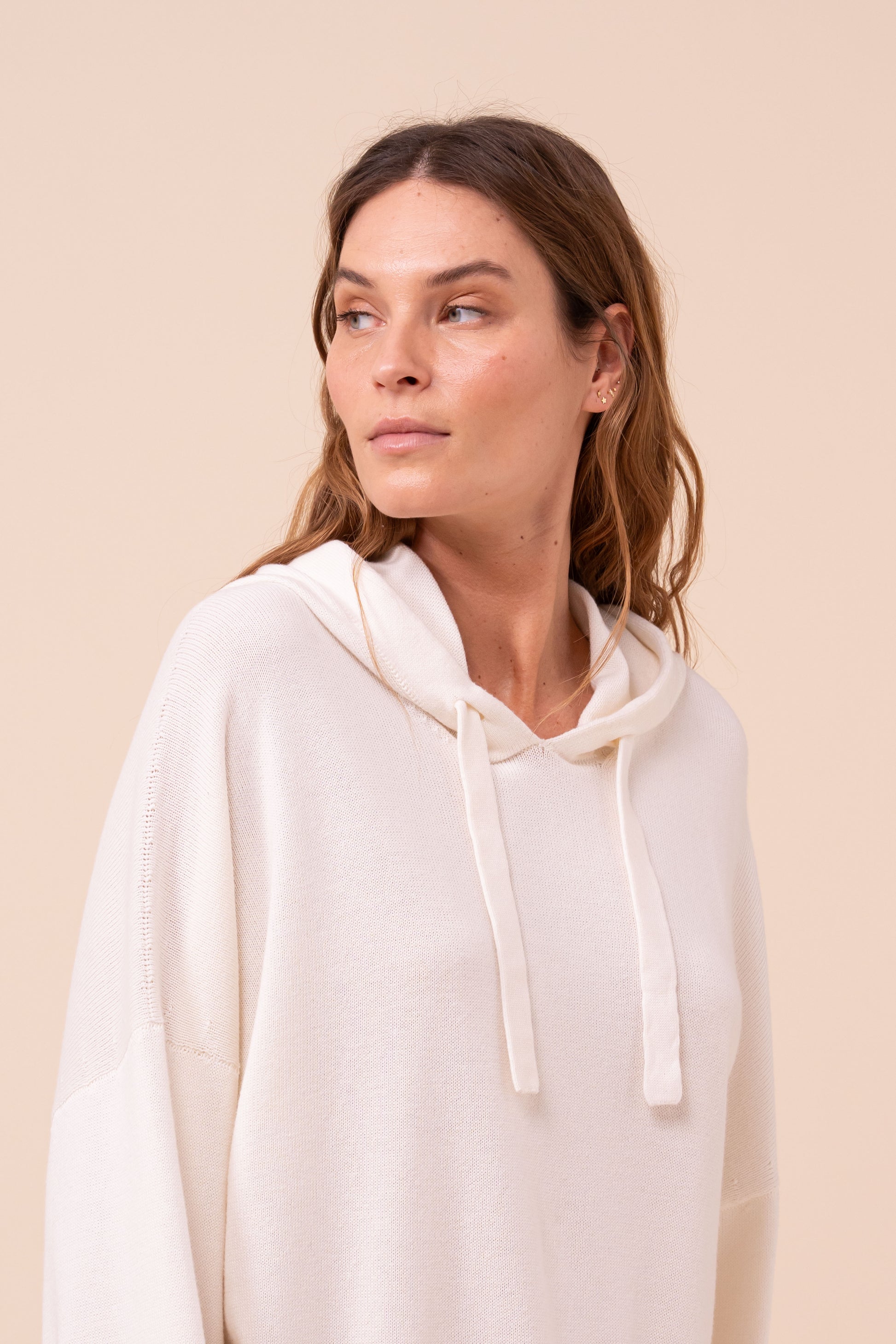 Pierre Cotton and Cashmere Knit Hoodie - SIENNA